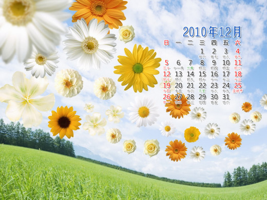 403837 (a): :1024x768